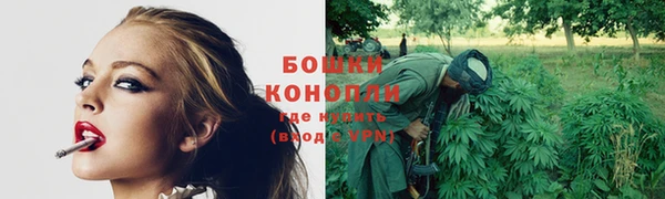 соль ск Новозыбков
