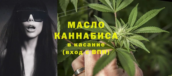 соль ск Новозыбков