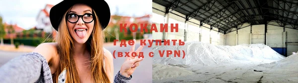 соль ск Новозыбков