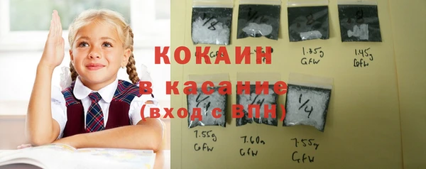 соль ск Новозыбков