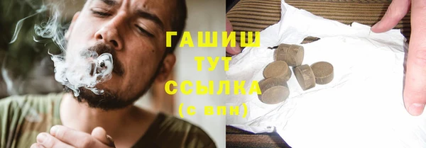 соль ск Новозыбков