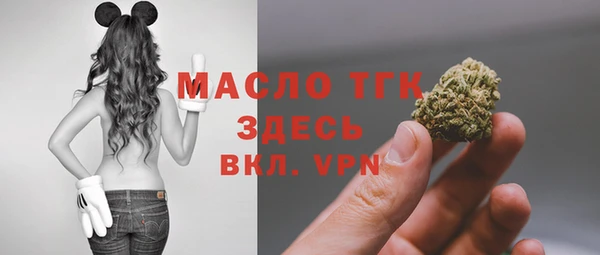 соль ск Новозыбков