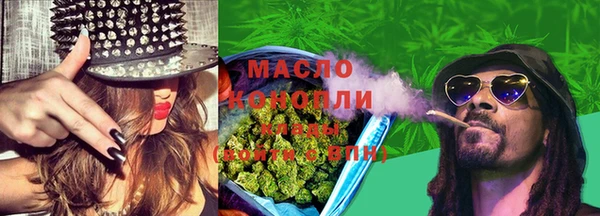 соль ск Новозыбков