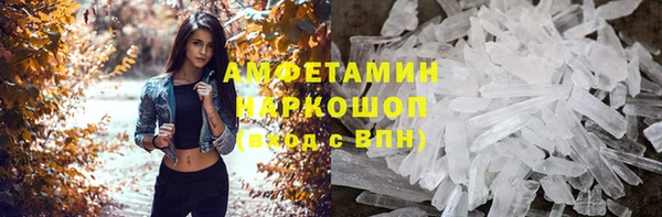 соль ск Новозыбков