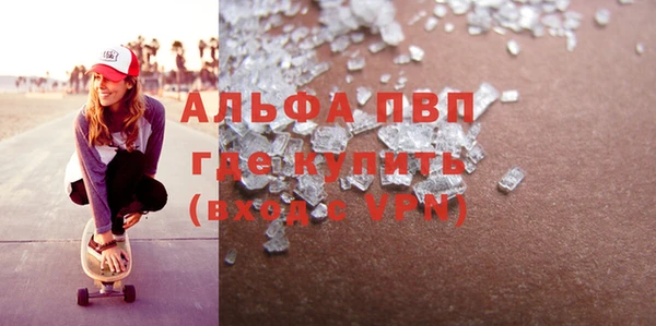 соль ск Новозыбков