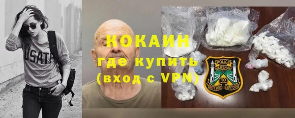 соль ск Новозыбков