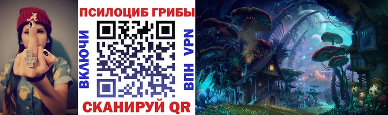 Псилоцибиновые грибы GOLDEN TEACHER купить сайты Тутаев