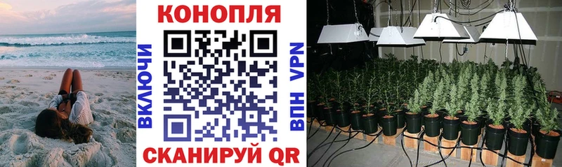 Конопля семена Тутаев